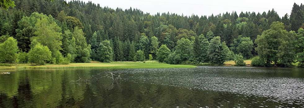 Dachsberg / Hotzenwald