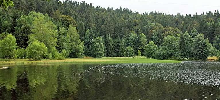 Dachsberg / Hotzenwald