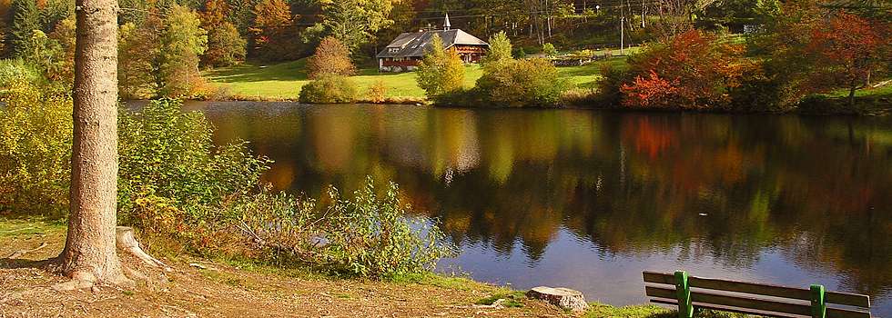Klosterweiher Dachsberg / Hotzenwald-Südschwarzwald