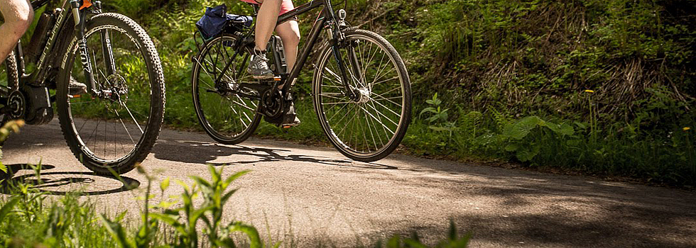 Mountainbiken / Hotzenwald Online