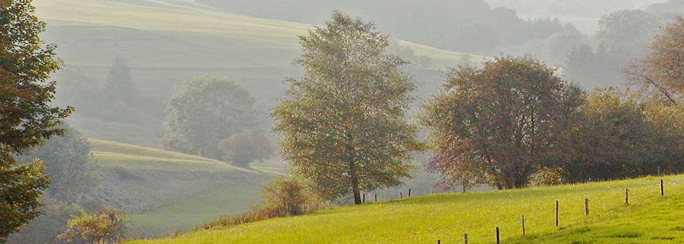 Landschaft / Hotzenwald Online