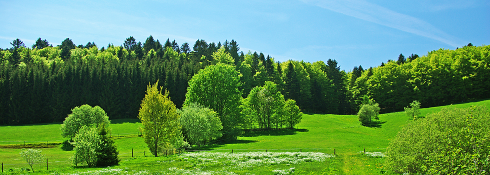 Landschaft / Hotzenwald Online