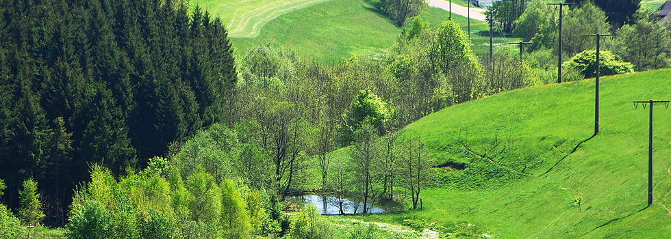 Landschaft / Hotzenwald Online